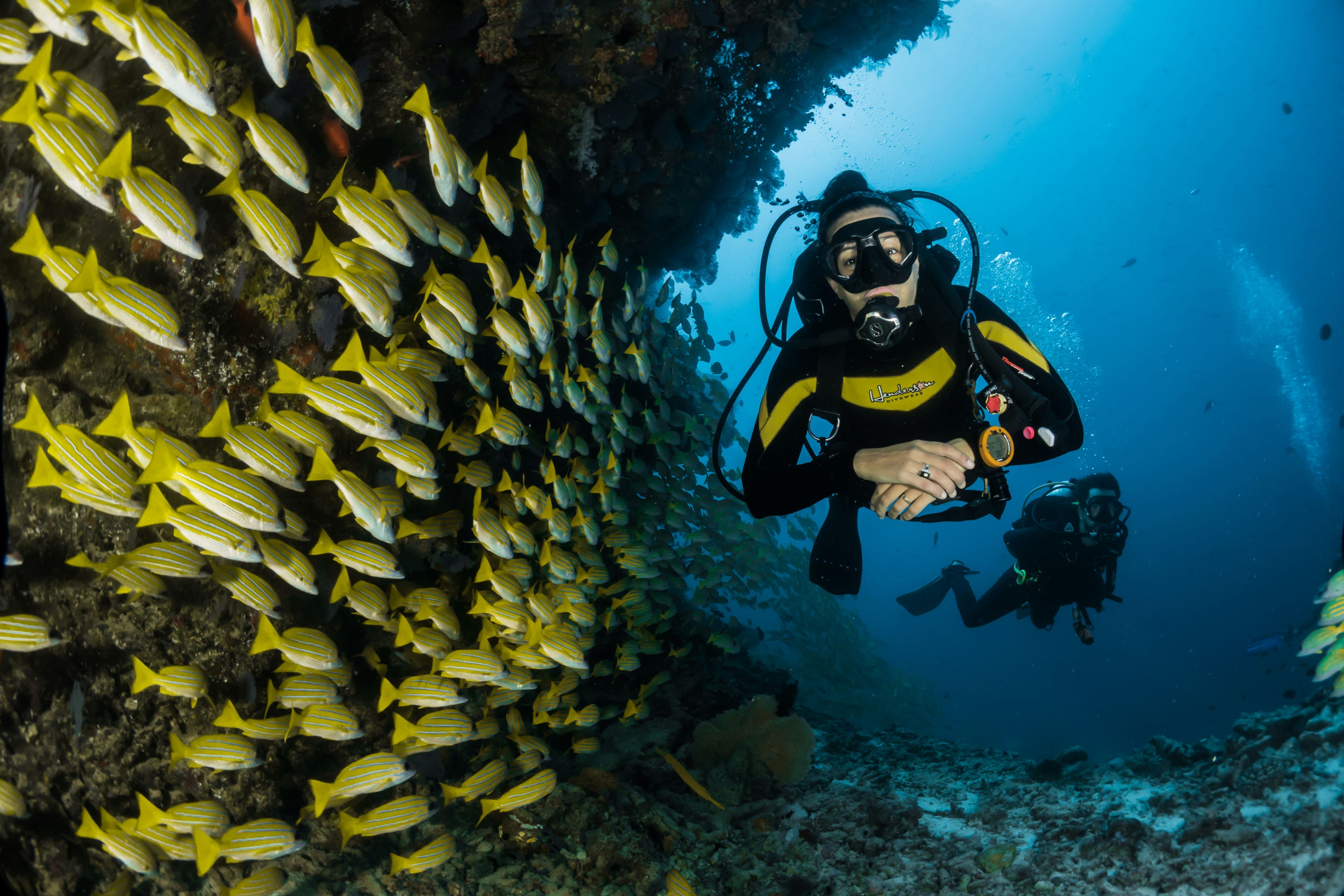 Kursus Rescue & React Right Diving Jakarta