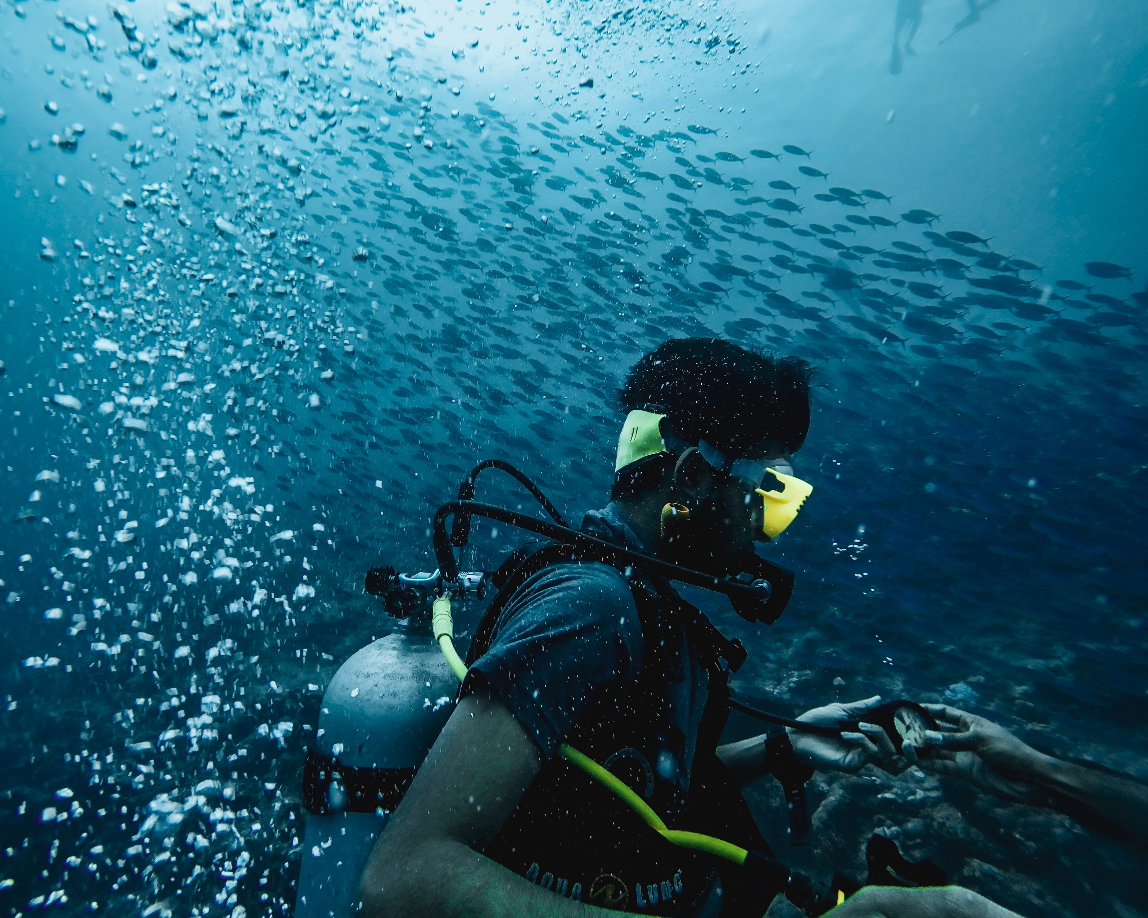 diving di pulau pramuka